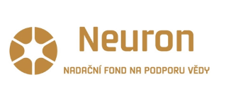 investment-company-logo